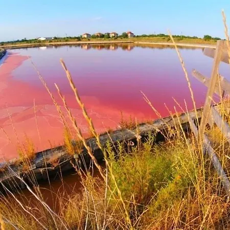 Lazur  Cozy One-bed Flat In * Burgas City