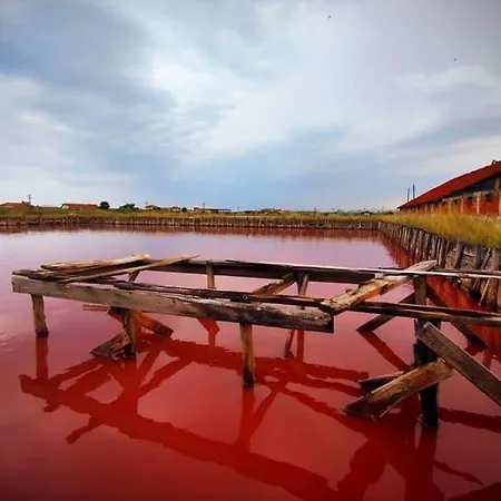 Lazur  Cozy One-bed Flat In